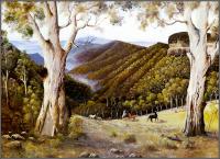 George Phillips - Australian Bush